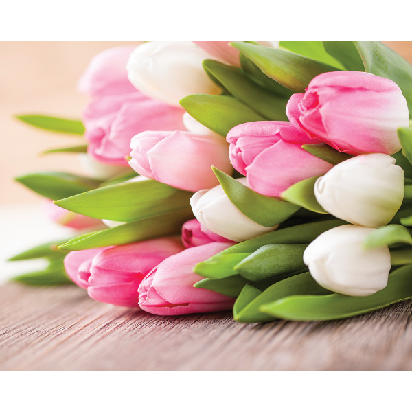 8 марта - Международный женский день